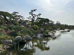 -罗红摄影艺术馆