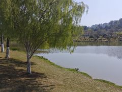 -东莞植物园