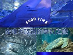 -上海海洋水族馆