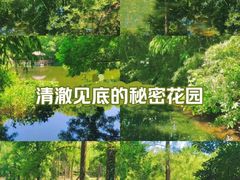 -上海滨江森林公园