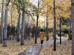 -中家鑫园温泉酒店鑫悦汤泉