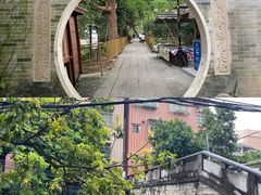 -小洲村