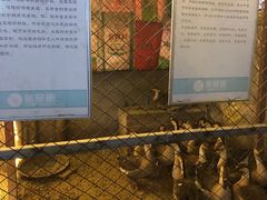 -鱼窝棚柴火铁锅炖(富山屯店)