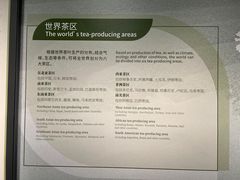 -中国茶叶博物馆(双峰馆区)