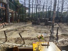 -上海野生动物园老虎餐厅