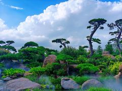 -罗红摄影艺术馆