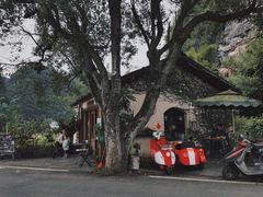 -村上春树