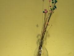 -志龙皇冠吃货椰子铺