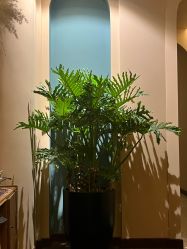 -娇玫荟SPA