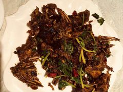 -同喜烤鸭店(光芒店)