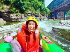 -牛背梁国家森林公园