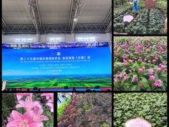 -长春农业博览园