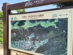 -大姆山草场