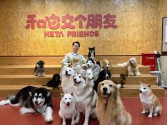 -和它·交个朋友·狗咖猫咖(爱琴海店)