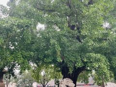 -北京石刻艺术博物馆(五塔寺)