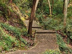 -上海佘山国家森林公园天马山园