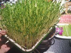 -番食园鲜食火锅(高新店)