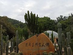 -深圳仙湖植物园