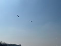 -丁香湖公园