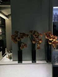 -TONI&GUY