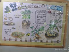 -上海昆虫博物馆