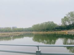 -大兴滨河森林公园