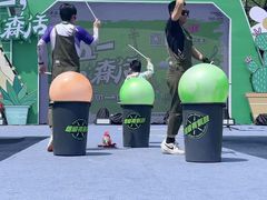 -黄海国家森林公园