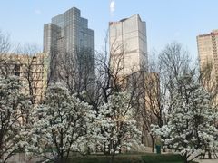 -安妮意大利餐厅(世贸天阶店)
