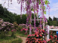 -名花谷生态庄园