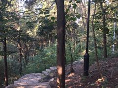 -云龙山