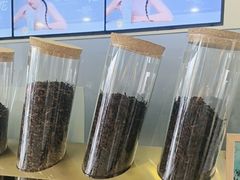 -雾与山茶(大禹城店)