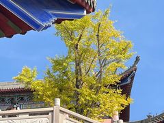 -青岩古镇