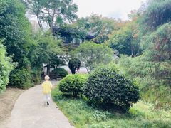 -花溪公园