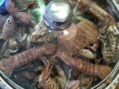 -蓝珊甄选海鲜自助·火锅大排档(近阿那亚店)