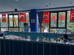 -海豚湾婴儿游泳(塘沽店)