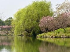 -月芽·自由餐厅·西溪湿地餐厅