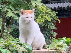 -颐和园