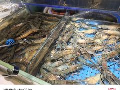 -加餐海鲜自助(宝龙一城店)