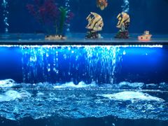 -芭菲盛宴·环球美食(北城国际店)