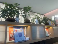 -长风拨筋养身(金虹桥店)