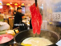 安格斯牛肉-鲜入围煮花胶鸡海鲜火锅