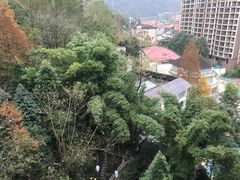 -花水湾第一村温泉大酒店