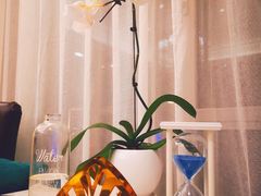 -子霖南山鲜虾面(南山总店)