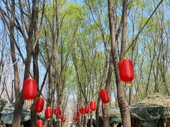 -草根堂农场