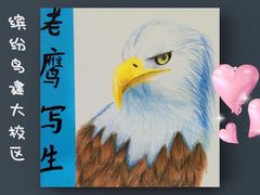 -缤纷鸟美术书法(建大校区)