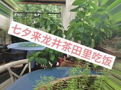 -野蔓果·山野菜(西湖景区·龙井茶田店)