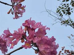 -广州国际生物岛