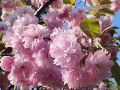 -长白岛森林公园