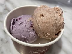 -哈根达斯(龙湖时代天街店)