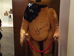 -济州岛泰迪熊博物馆